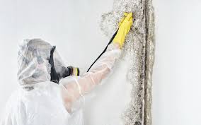 Best Residential Mold Inspection & Testing in Claxton, GA